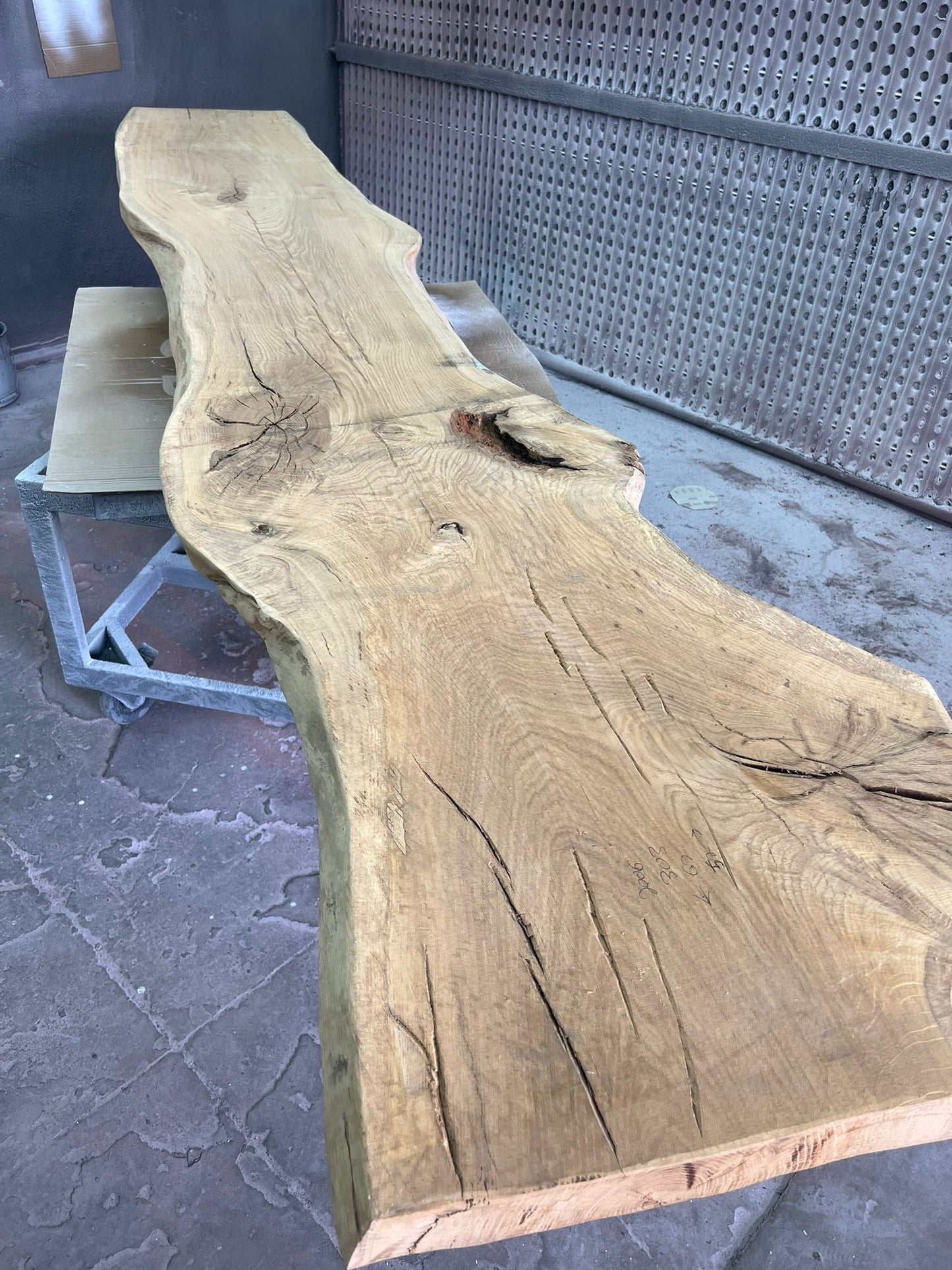 פלטה מספר #2006