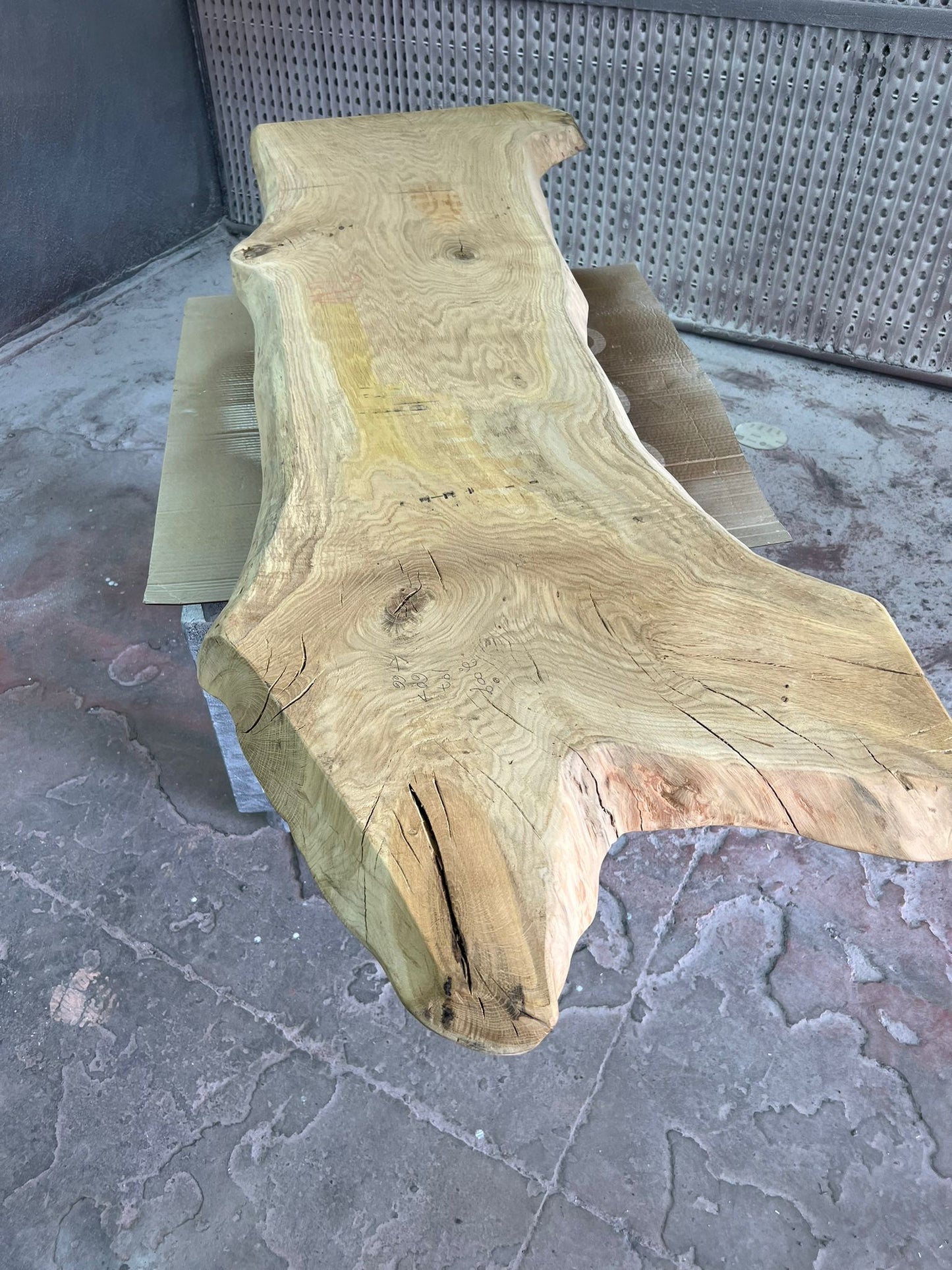 פלטה מספר #2008